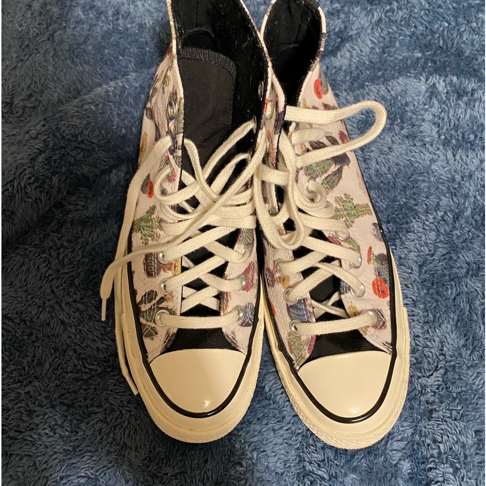 COPY - Succulent Converse